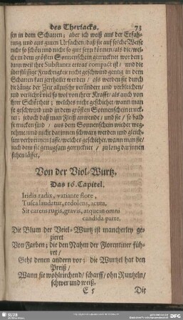 Von der Viol-Wurtz. Das 16. Capitel