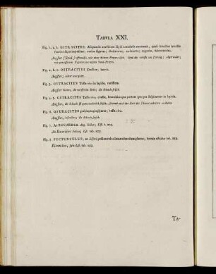 Tab. XXI. [Beschreibung und Abbildung.]