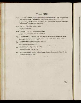 Tab. XXI. [Beschreibung und Abbildung.]