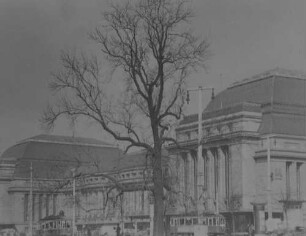 Leipzig: Hauptbahnhof, Vordergrund Baum