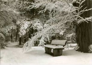 Waldfriedhof im Schnee