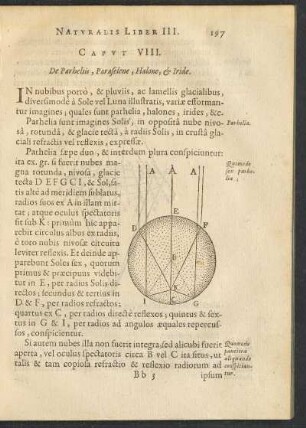 Caput VIII.
