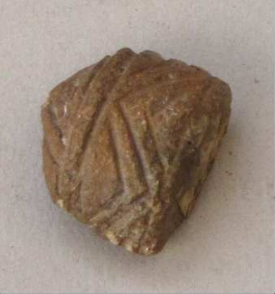 Spinning whorl (fragment)