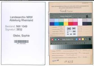 Entnazifizierung Sophie Glebe , geb. 04.09.1899 (Bibliothekarin)