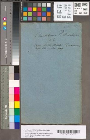 Vergunning van Willem, Roomsch Koning, voor Willem van Brederode, om over zijn land Reesveld en de daarbij liggende geeren als zijn eigen goed te beschikken, 30 December 1248. In het Latijn. Gewaarmerkt afschrift, midden van de 17e eeuw.