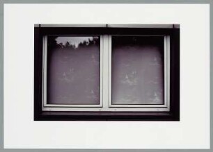 Spiegelung im Fenster