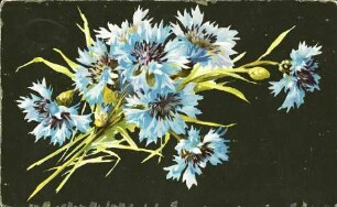 [Blumenstrauß blau blühender Blumen]