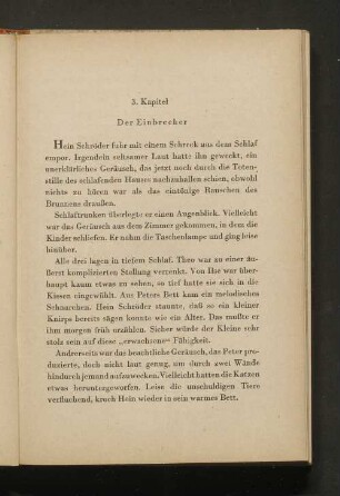 Der Einbrecher