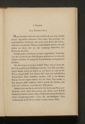 Der Einbrecher