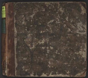242 Chorale arrangements, org - BSB Mus.ms. 4795 : [without title]