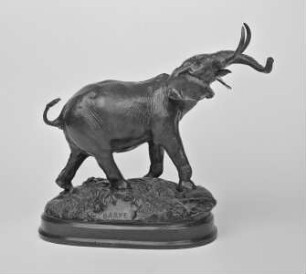 Trompetender afrikanischer Elefant