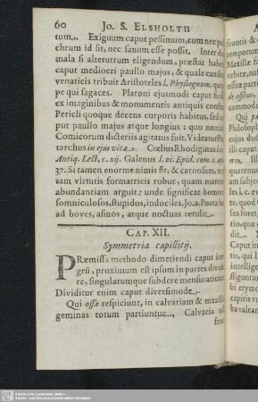 XII. Symmetria capillitij