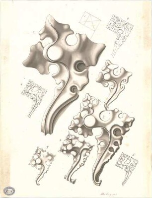 Lange, Ludwig; Lange - Archiv: IV.1 Gotik in Deutschland - Ornamente (Ansicht)