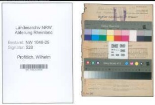 Entnazifizierung Wilhelm Profitlich , geb. 22.02.1893 (Haendler)