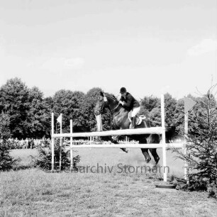 Kreispferdesportverband Stormarn e.V.: Exer: 18. Kreispferdeleistungsschau: Wettbewerb im Springreiten
