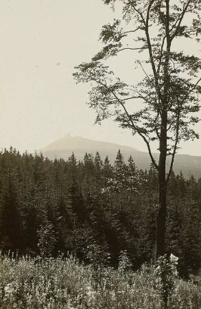 Lausitzer Gebirge. Blick zum Jeschken (1010 m) von Nordnordwesten
