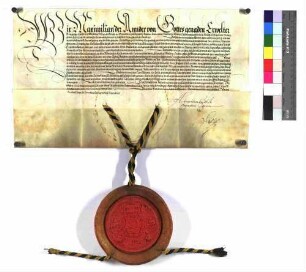 Kaiser Maximilian II. belehnt den Schenk Christoph mit dem Erbschenkenamt