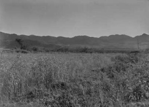 Landschaft bei Dese : Graslandschaft bei Dese, im Hintergrund Blick auf Hügel und Gebirgszüge.
