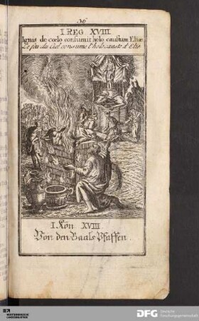 Von den Baals Pfaffen.
