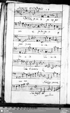 14 Andreas Pevernage: Pater peccavi in caelum