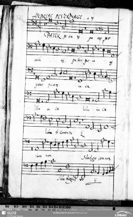 14 Andreas Pevernage: Pater peccavi in caelum