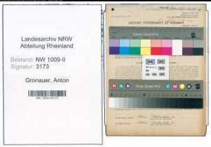 Entnazifizierung Anton Gronauer , geb. 03.02.1897 (Kaufmann)