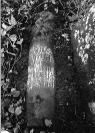 Grabstein 1131