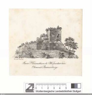 Ruine Hatzenthurn bei Wolpertswende : Oberamts Ravensburg