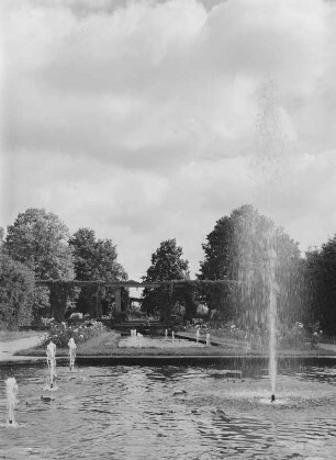 Rosengarten in Forst (Lausitz) : Forst (Lausitz). Rosengarten mit Wasserspielen (1913)