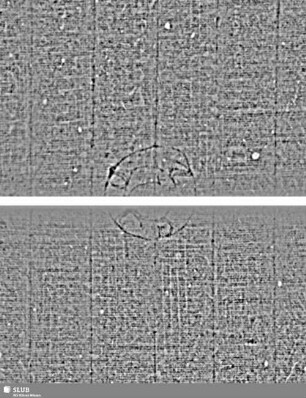 COLDIZ = Cantus II; S.33/34+43/44