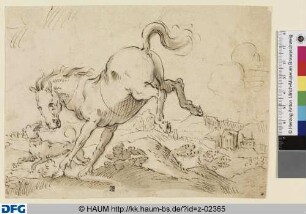 Ausschlagendes Pferd und Hund