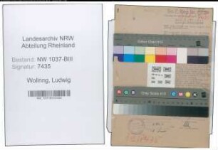 Entnazifizierung Ludwig Wollring , geb. 12.05.1889 (Landwirtschaftsrat)