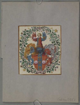 Ganzseitige Wappenminiatur aus einem Stammbuch - BSB Cod.icon. 518(7
