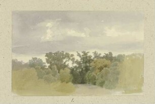 Baumbestandener Landweg