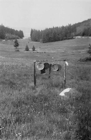 Wildscheuche : Blick auf ein Gestell mit Blechtellern zum vertreiben von Wildtieren