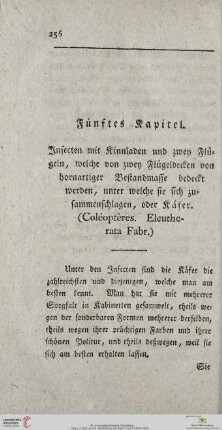 Fünftes Kapitel