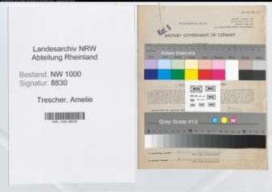 Entnazifizierung Amelie Trescher, geb. 16.12.1892 (Kuenstlerin)
