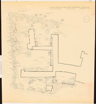 Grünflächen am Max-Planck-Gymnasium, Düsseldorf: Pflanzplan Gehölze, 1. Bauabschnitt 1:200