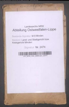 Verhandlungen der freiwilligen Gerichtsbarkeit: Jahrgang 1875