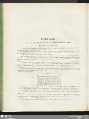 Capitel XVIII
