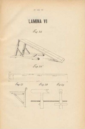 Lamina VI