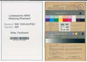 Entnazifizierung Ferdinand Weis , geb. 11.01.1890 (Jurist)