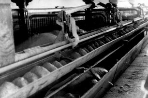 Fütterungsanlage System Eichholz Betrieb Stonner