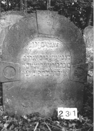 Grabstein 231