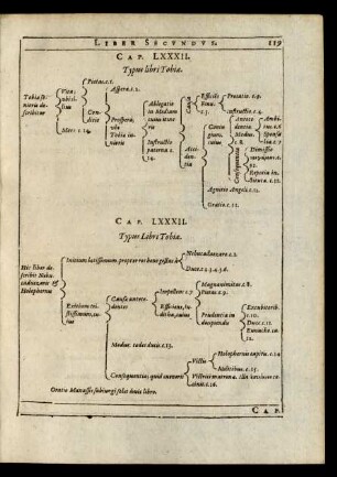 Cap. LXXXII. Typus libri Tobiae.