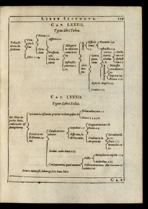 Cap. LXXXII. Typus libri Tobiae.