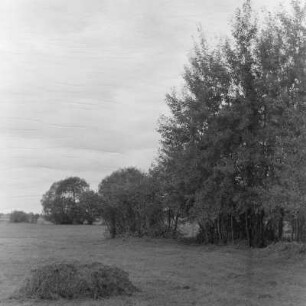 Landschaftsbild. Märkische Landschaft. : Wobraz krajiny. Markowska krajina.