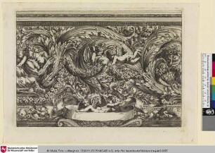 [Feuillages, et autres ornemens]