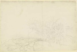 Landschaft mit Bäumen und Felsstücken