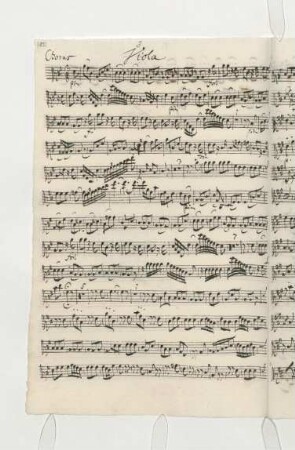 Viola (1740)